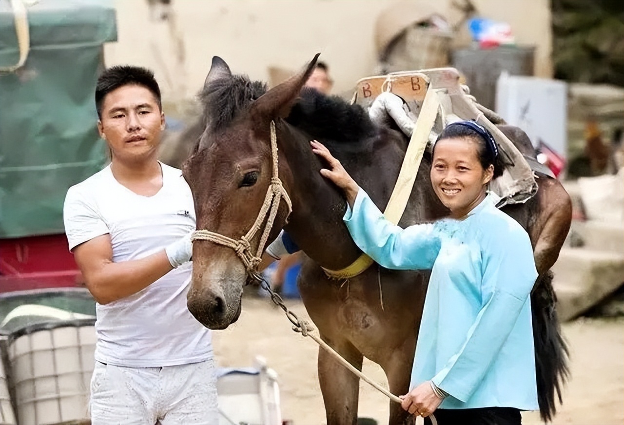 山里马帮的真实生活,农村夫妻货车生活真实记录