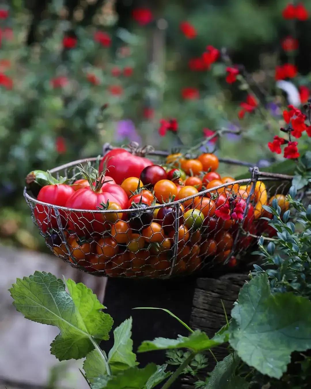 还可以坐在一棵不认识的树下