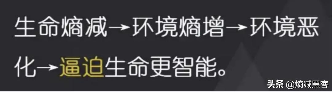 熵增原理对个人成长启发,熵减的人生哲理