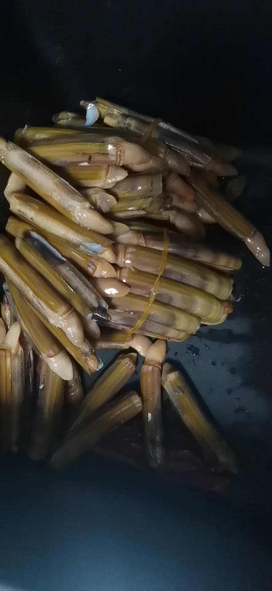 天津闪送的订单高峰时间,天津闪送的晚上订单多吗