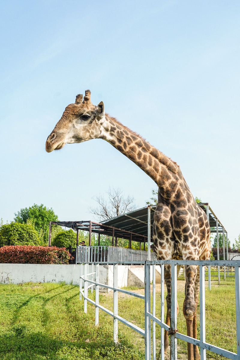 宿州两日游,安徽宿州一日游推荐
