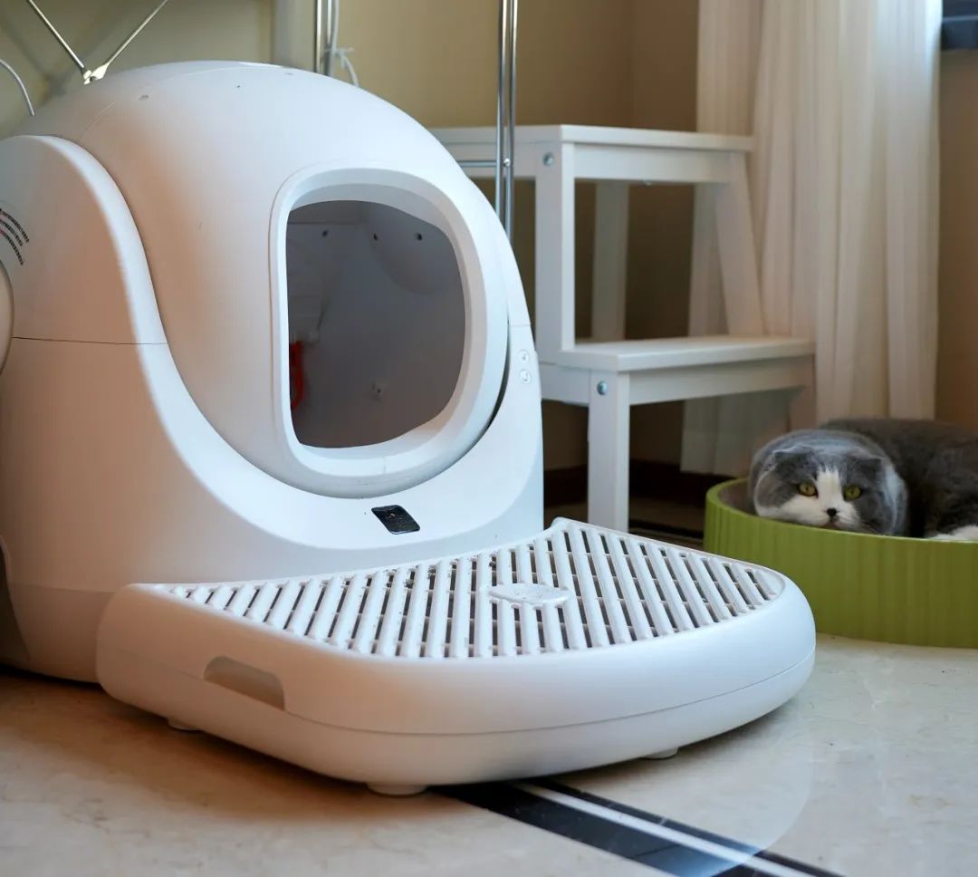 10件提升幸福感的居家好物推荐,十件提升幸福感的居家好物