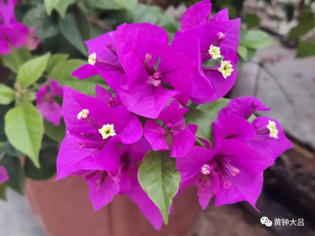 传统营销的变革之路,传统营销濒临死亡和转型