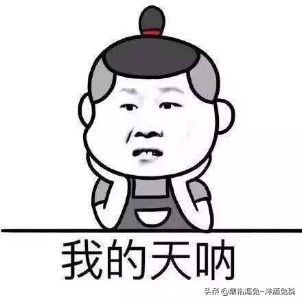 怎么辨别轩尼诗vsop酒真假,怎样辨别轩尼诗vsop真假酒