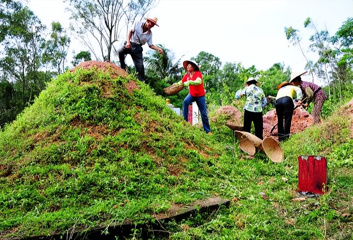 关于清明节的诗词或词句,清明节经典诗句和风俗