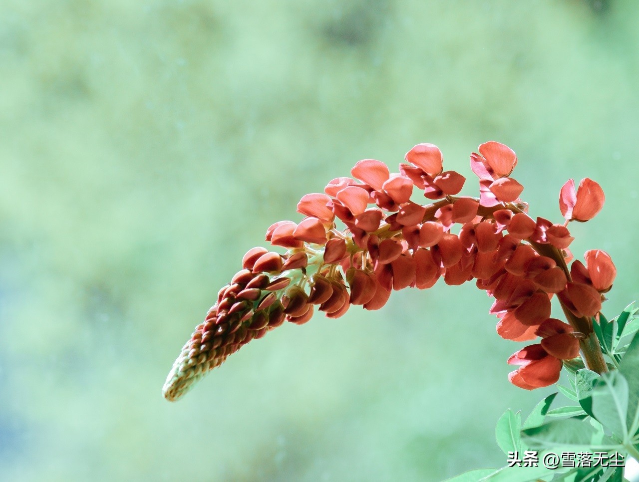 分手后死缠烂打会有怎样的结局,分手了怎么挽回死缠烂打