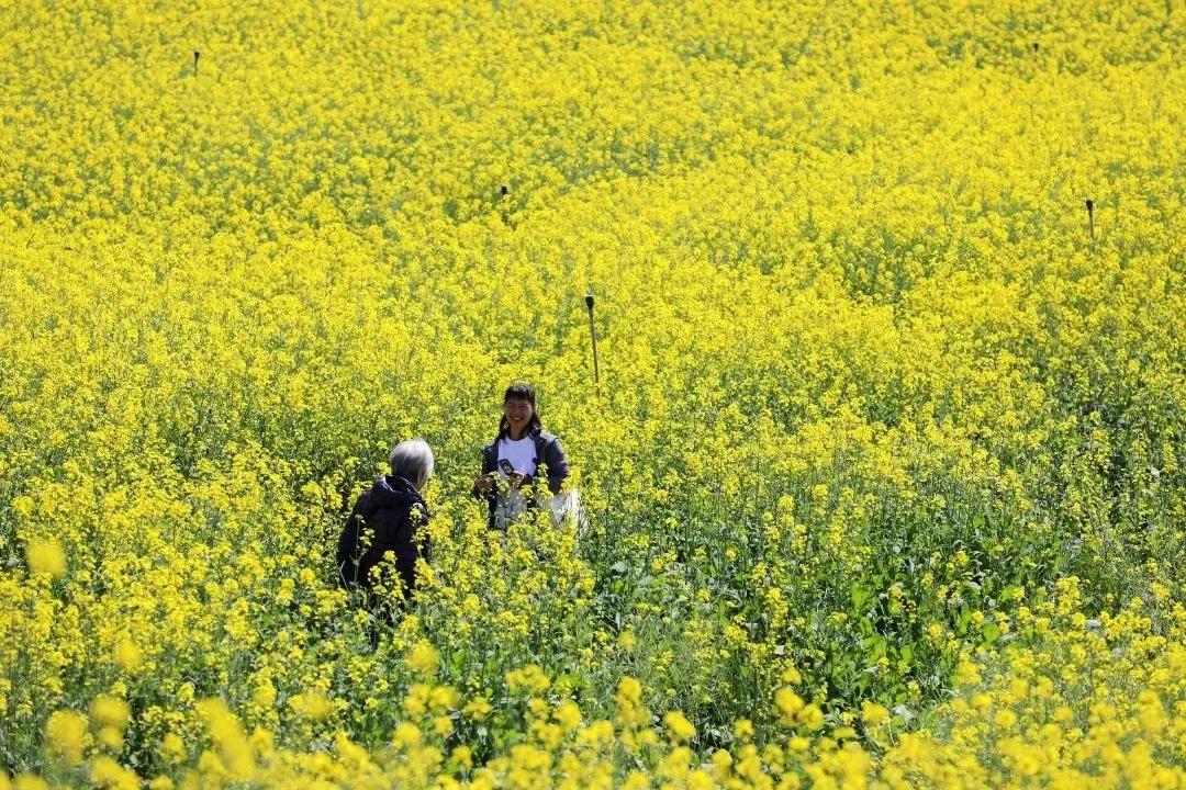 深圳甘坑客家小镇旅行,深圳甘坑古镇附近一日游攻略