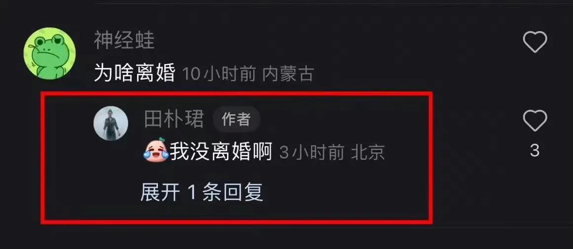 王石和田朴珺多久结婚的,王石和田朴珺离婚