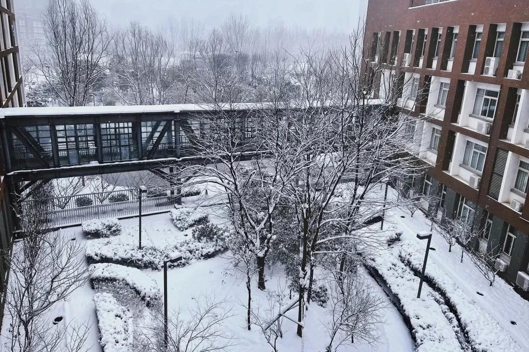 枫杨外国语学校还能选吗,郑州枫杨外国语学校是初中吗