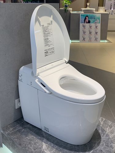 智能马桶真的有必要买么,智能马桶有没有必要买最好的