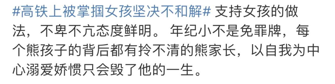 高铁女子制止熊孩子却遭家长掌掴,高铁女孩被熊孩子父母掌掴视频