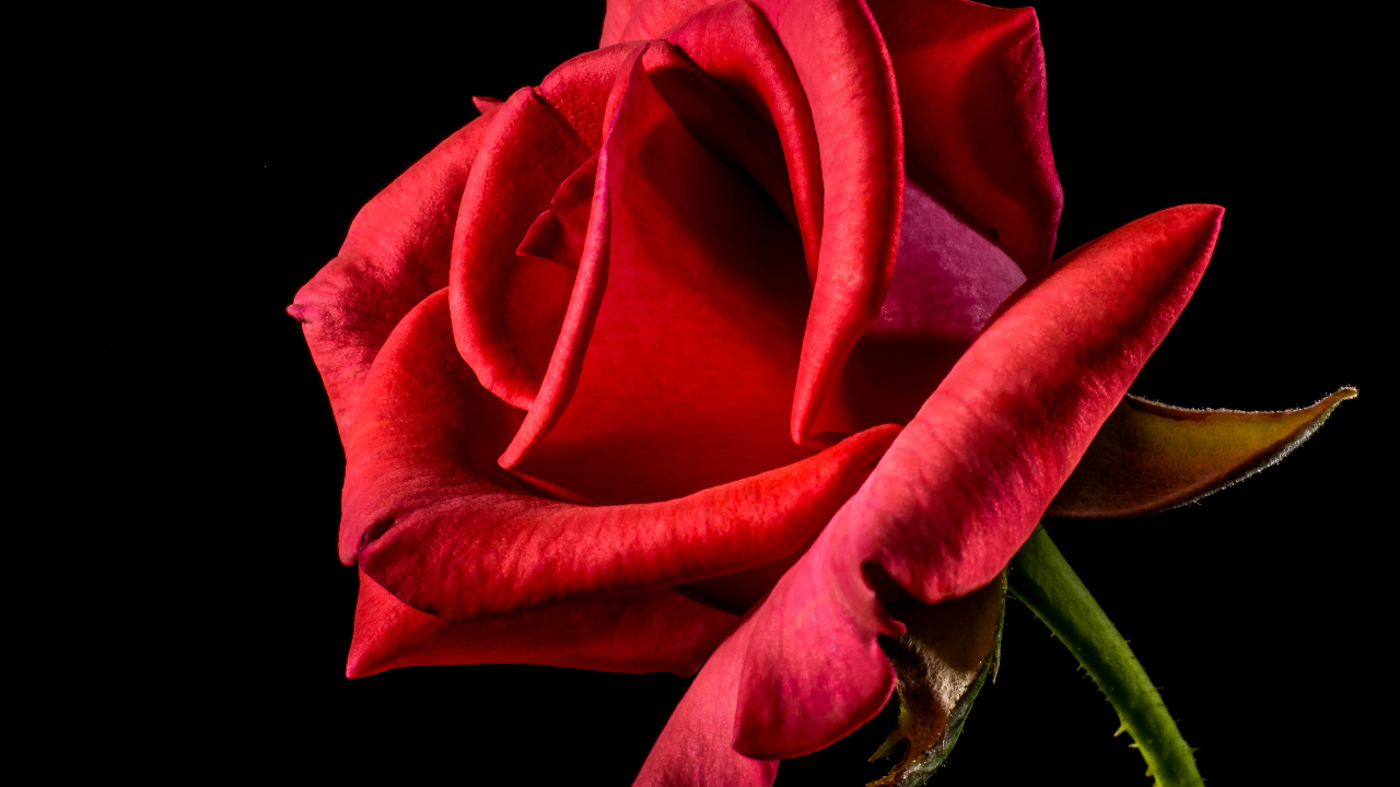 如何接受一个人独自生活的孤独,一个人生活怎么抗拒孤独