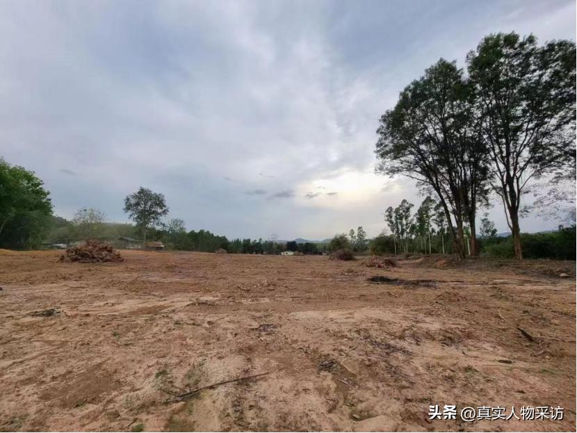 我，湖北人，泰国打拼4年，娶妻生子，买下50亩地，年入700万泰铢