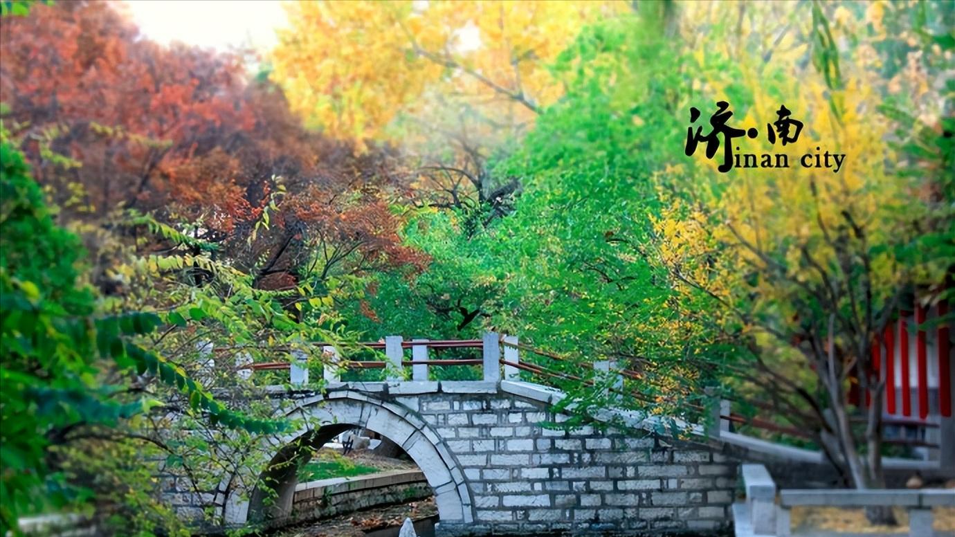 山东省济南市区域划分,山东省济南市哪个区发展最好