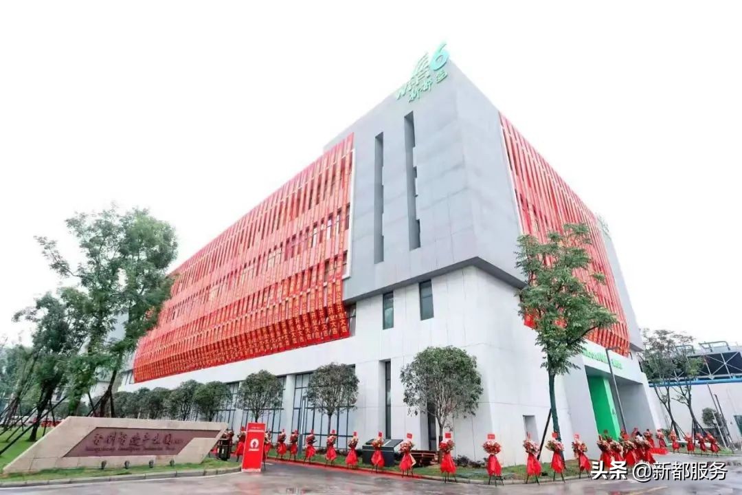 新都是靠什么产业发达的,新都做什么好