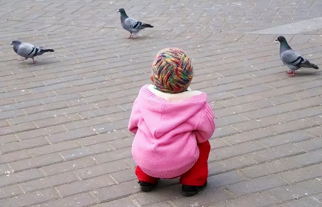 鸟脸妈妈坚持二胎,鸟脸妈妈不顾反对生二胎