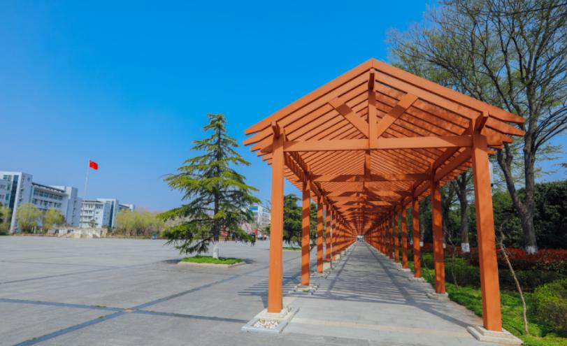 专科院校推荐就业,专科毕业就业前景好的学校