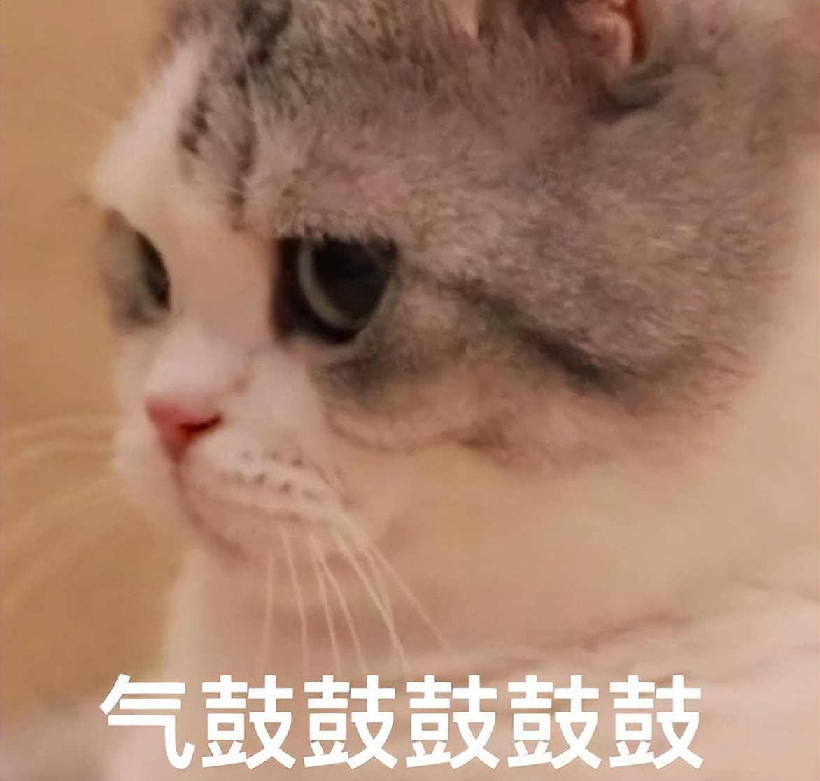 最差的文科专业,文科四大坑人专业