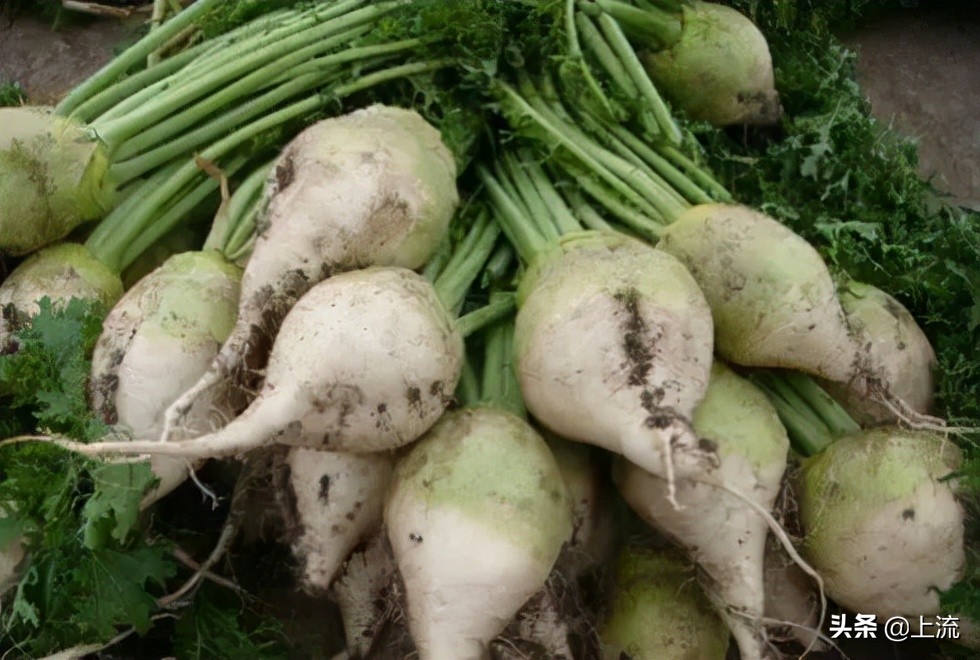 吃了这碗酸饭，才懂什么叫山西猛汉