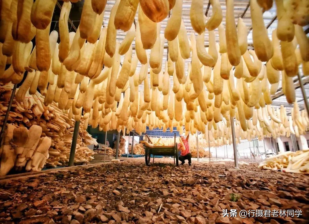 手机拍照和手机摄影的区别,手机拍照摄影基础知识入门