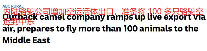 把骆驼卖给阿拉伯人，朋友两年赚出了七套房