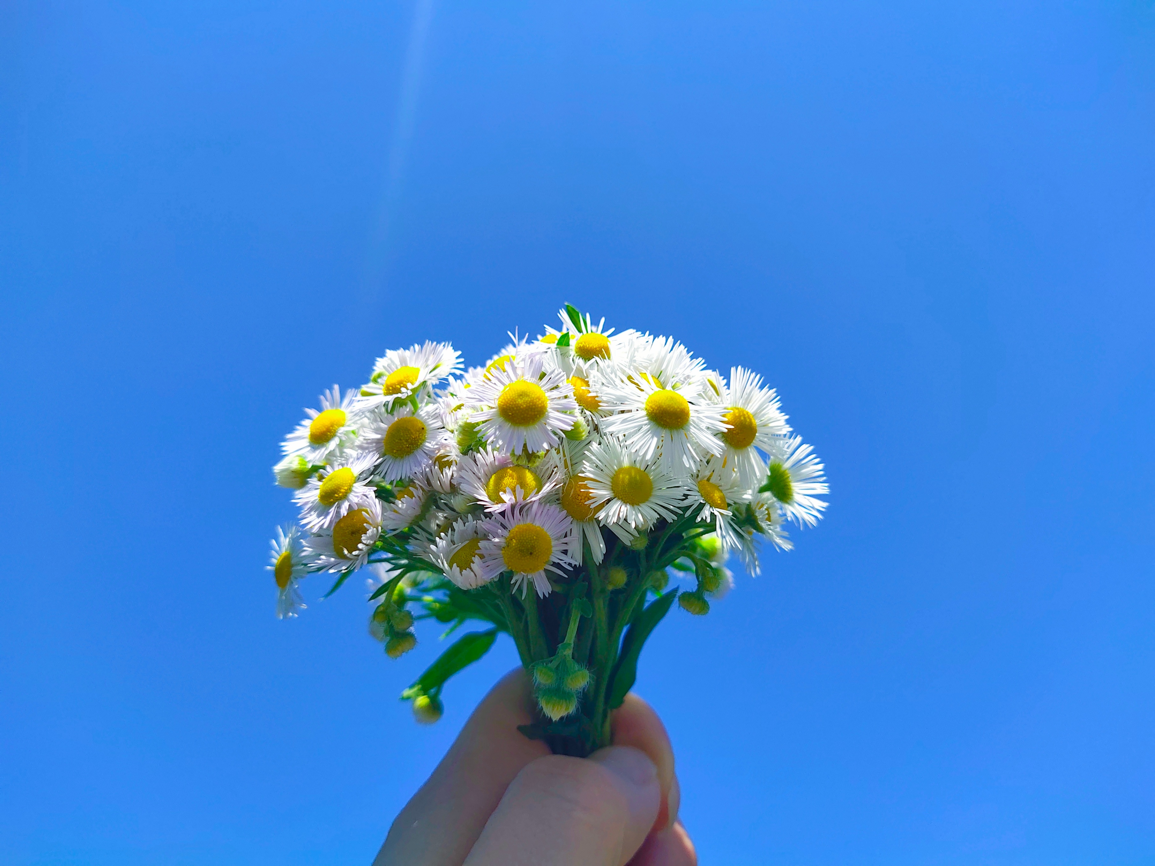 相亲见面两次可以发展到什么地步,同一个相亲对象介绍两次