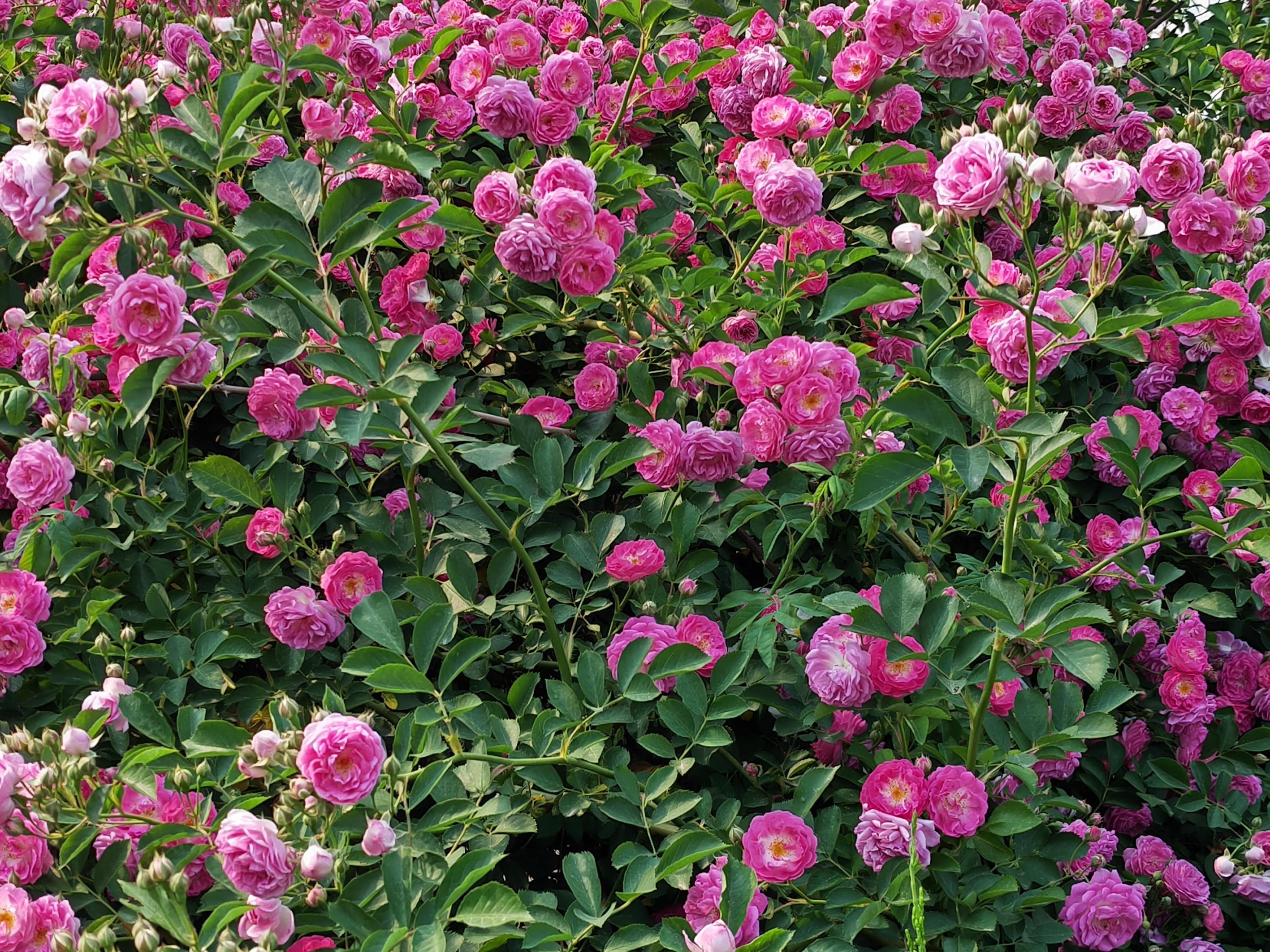 求写人生很辛苦的的现代七言绝句,打工者励志的七言律诗