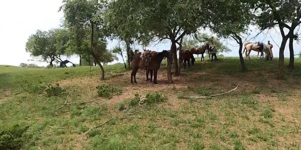 尔冬升新片2024年上映,尔冬升第一部电影