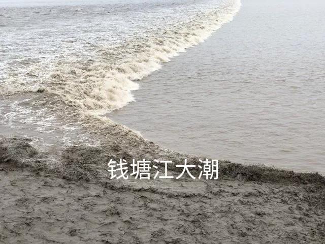 西湖美景人间天堂杭州,来到美丽的人间天堂杭州