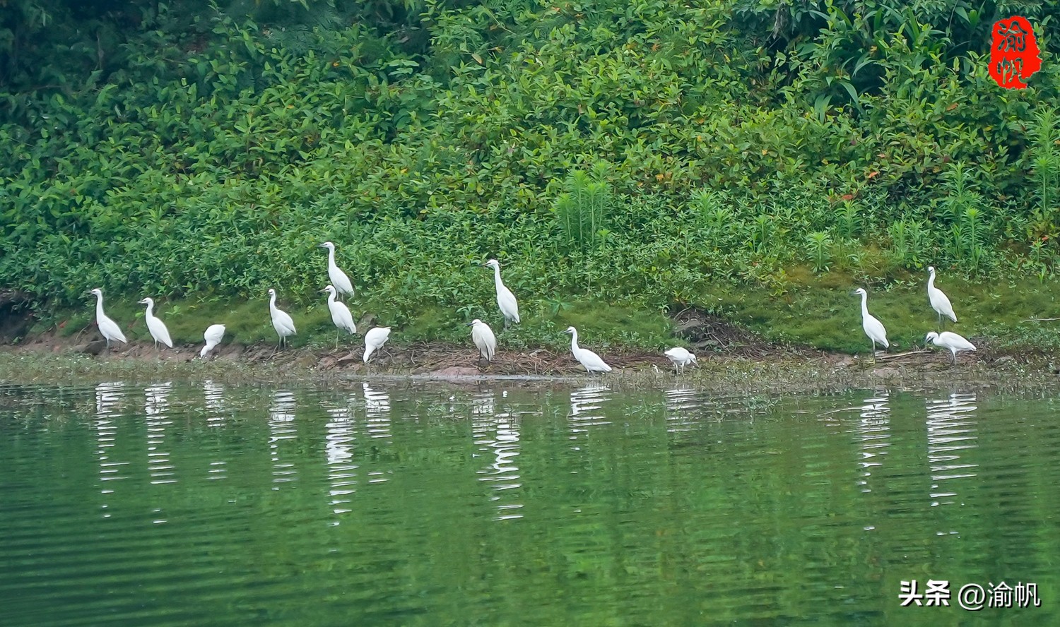 大足景点攻略美食推荐图,周末去哪玩推荐重庆大足