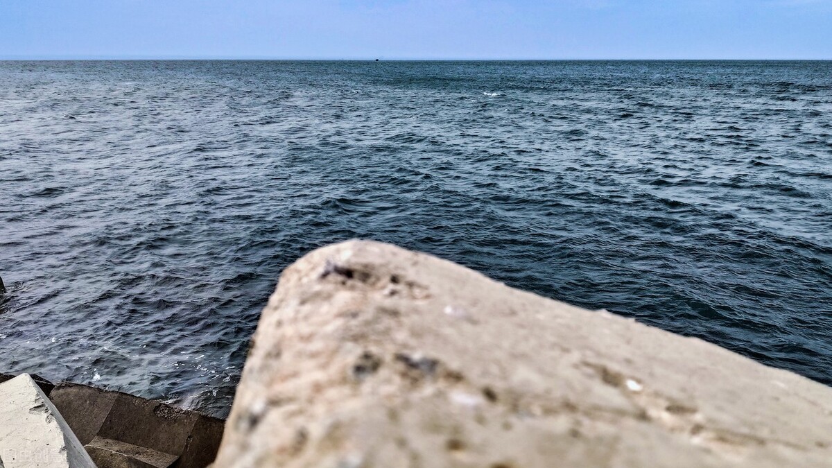 一把小提琴电影,一把小提琴复调