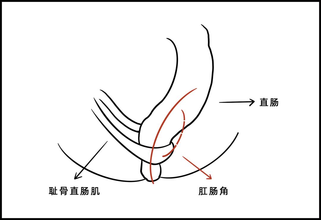 被公厕便池的水溅到,会得性病吗?|8个如厕烦恼全解