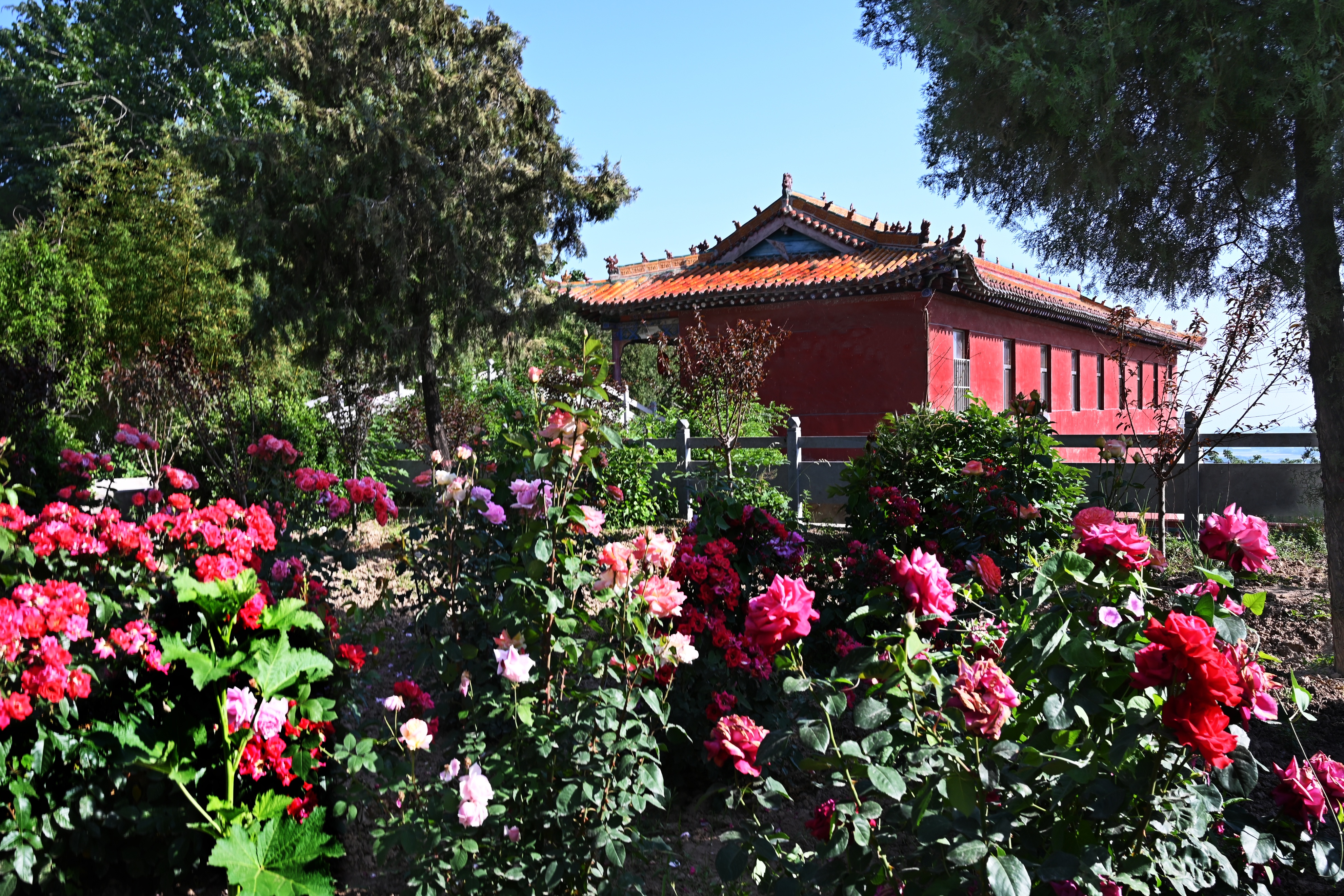 河津吕仙庙灵不灵,河津吕仙庙灵验吗