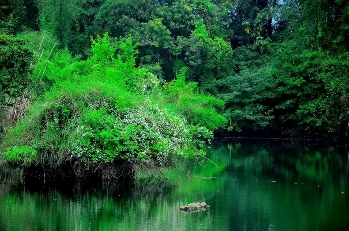 广西德天瀑布回广州沿途景区,德天跨国大瀑布风景区和古龙山