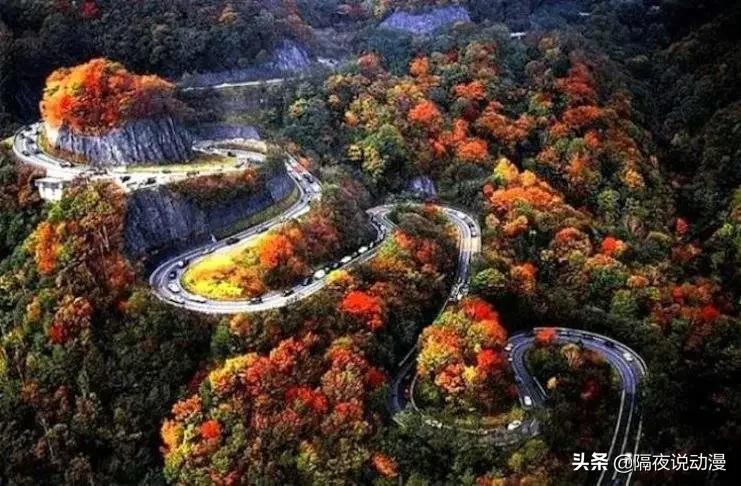 许斐刚在网球王子的地位,网球王子许斐现状