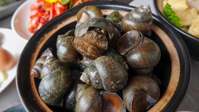 现在的养殖业什么最有发展前途,现在农村养殖业什么前景最好