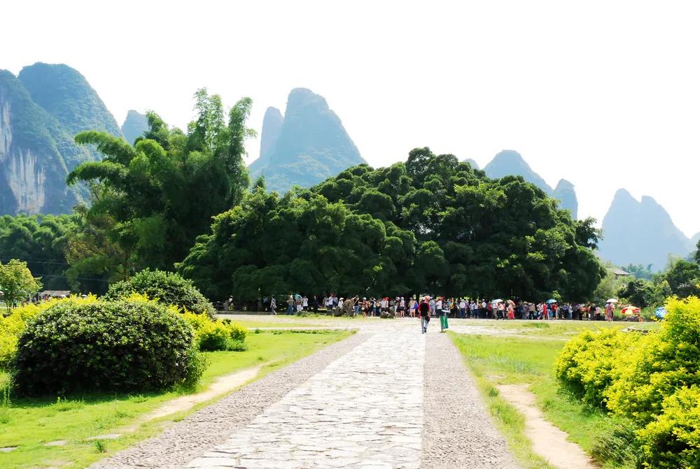 以一个农民工的资态进军头条、崛起于当代文坛。种菜致文学版