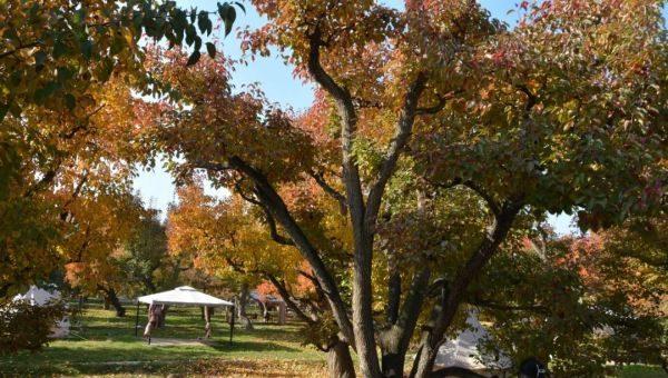 乡村魅力促振兴,皋兰县美丽乡村