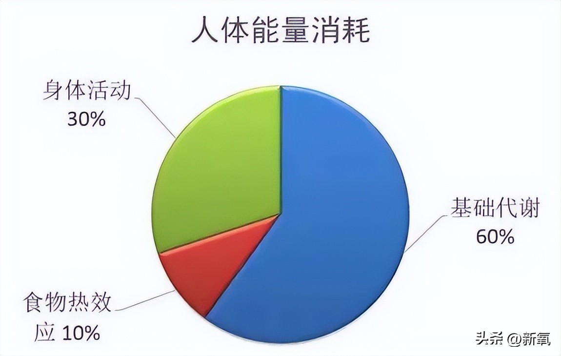 高碳减脂一个月变化,高碳还能减肥吗