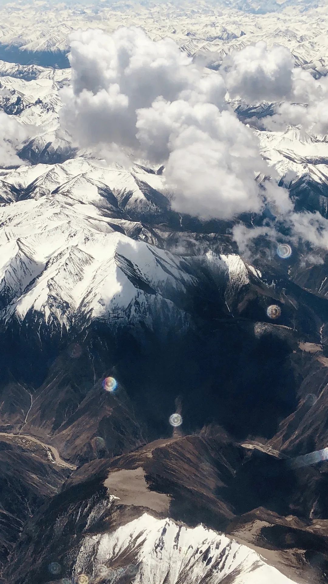 川酒之外的浓香白酒,川酒的地位及优势