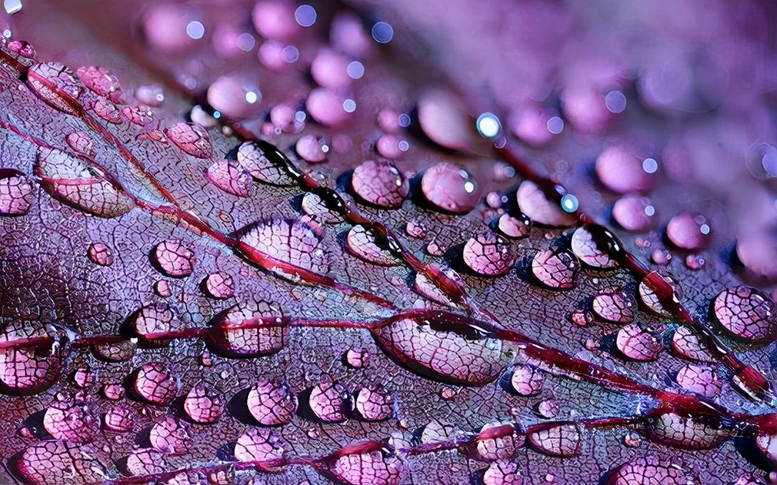 中年心动异性相处最好状态,中年异性对你着迷的好办法