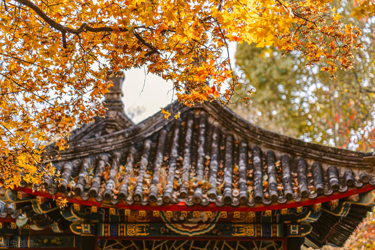 suitfit和match的用法,fitsuitmatch的区别简单记法