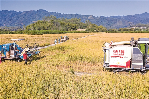 梧州新规划扩建规模,梧州新兴路改造