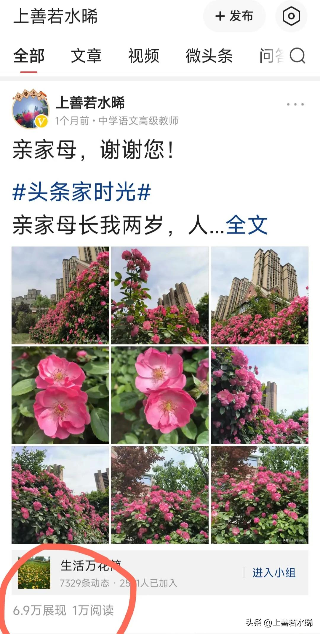 “*今条头日**”与“百家号”的体验比较