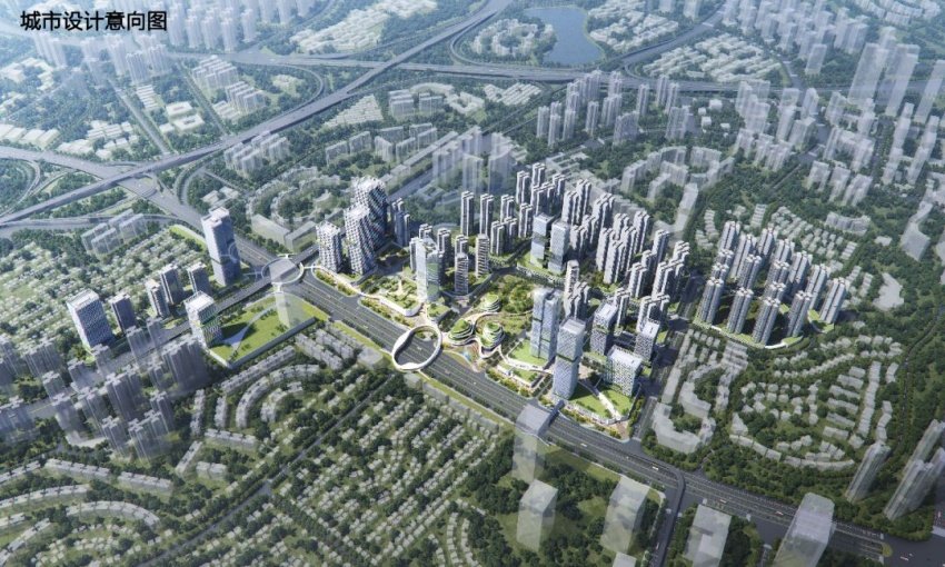 南大干线新光快速互通,南大干线万博段规划