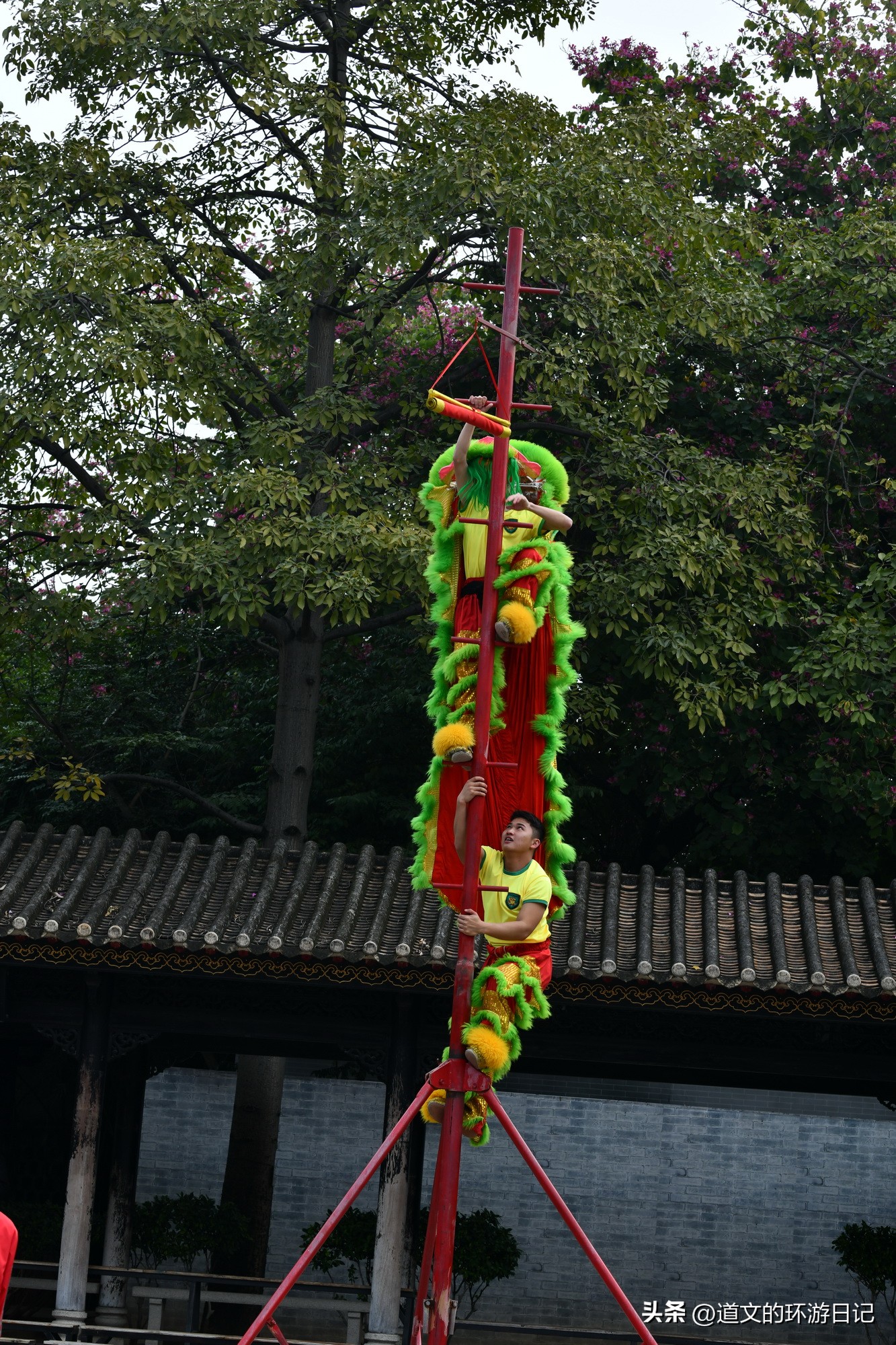 佛山黄飞鸿舞狮表演在哪里看,佛山黄飞鸿纪念馆舞狮表演感悟