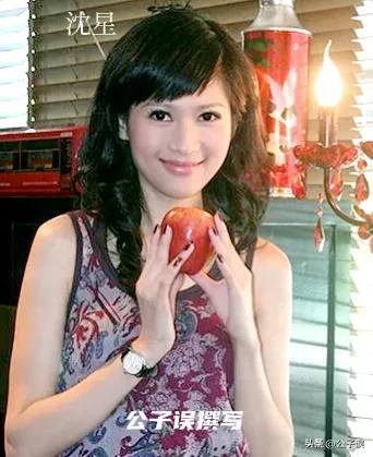 一张和冯小刚的“夜宿门”照片,彻底撕下了沈星的遮羞布