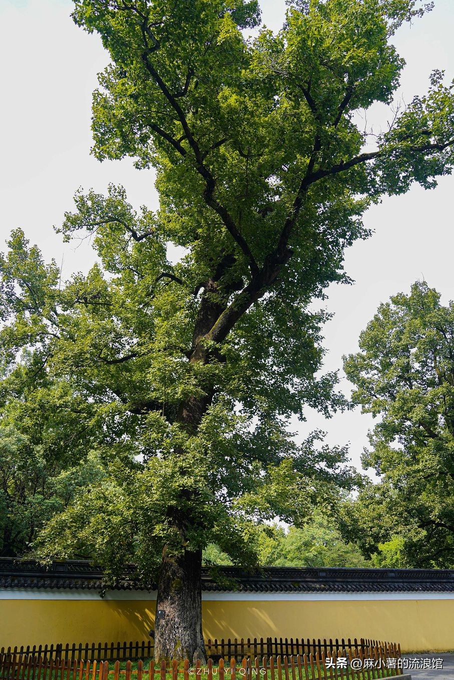 浙江绍兴有座千年大佛寺，有江南第一大石佛，许多影视剧都来取景