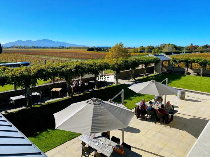 买了这么多葡萄酒：这款性价比比较高