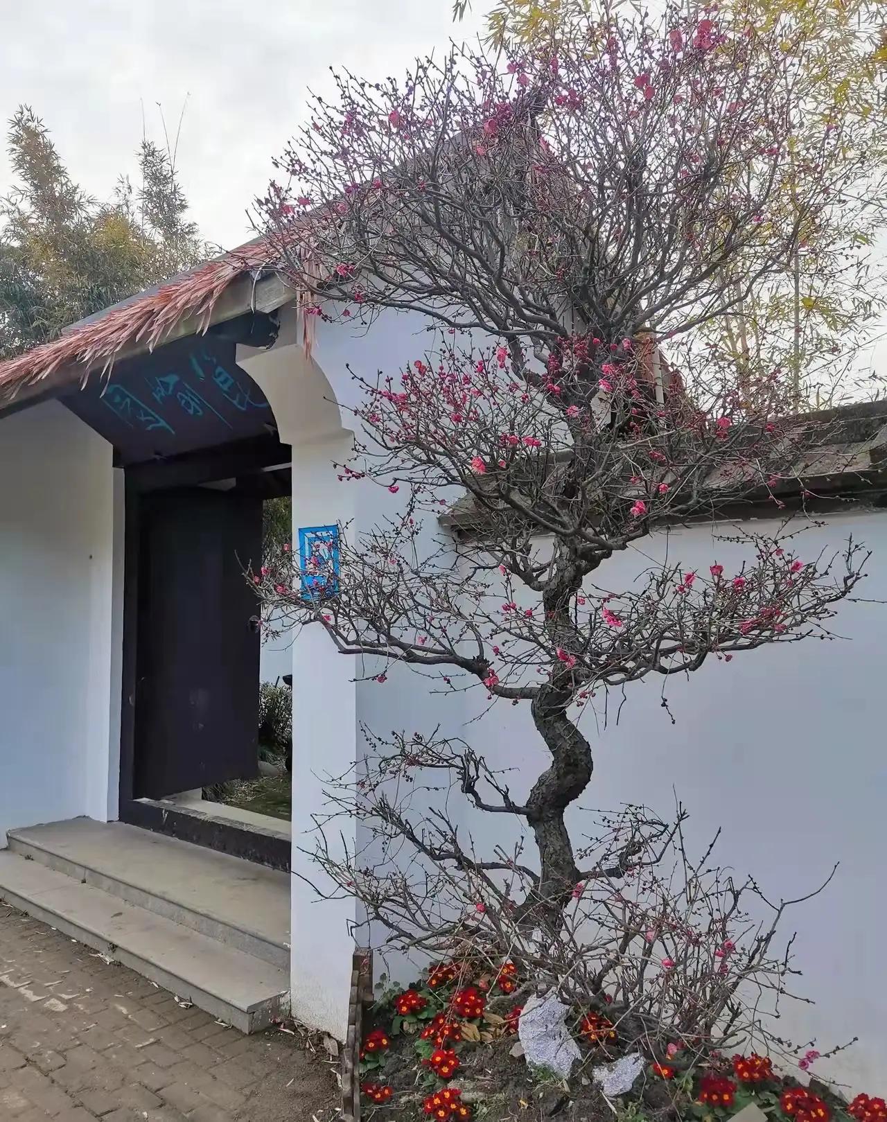 七绝春日二首原创,春日七绝诗十首